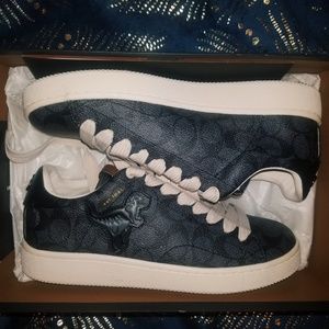 SIG C101 Coach Shoes with Rexy